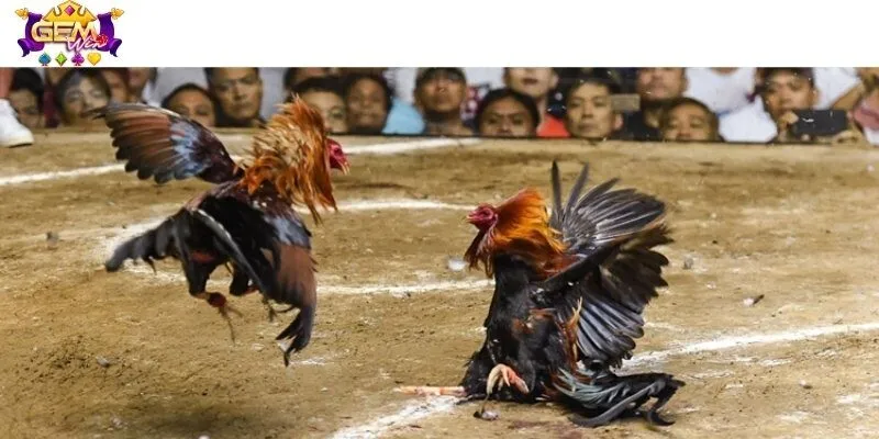 Các loại hình với luật chơi đơn giản, tỷ lệ thắng cược cao