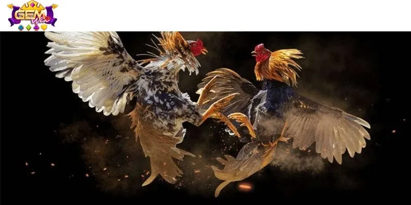 Cách thức đặt cược cần nắm vững trước khi chơi