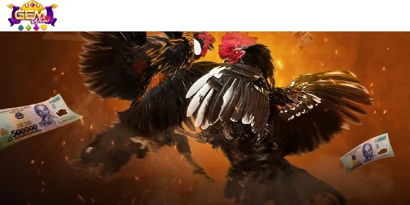 Cách thức hoạt động và quy trình đặt cược đơn giản