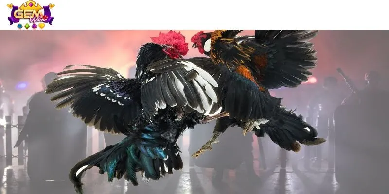 Chia sẻ những kinh nghiệm quý báu từ tay chơi chuyên nghiệp