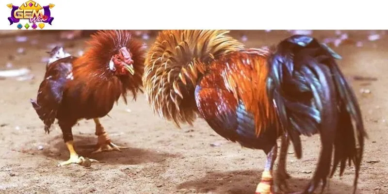 3 hình thức được yêu thích nhất tại cổng game hiện nay